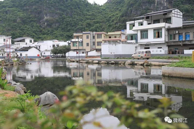 优秀！怀洪村获命名“广西生态特色文化旅游示范村”称号